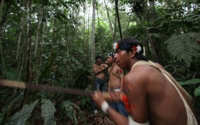 Ecuador abre la reserva de Yasuní a las petroleras ante la falta de apoyo